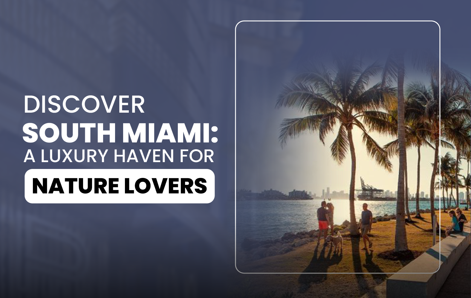 Discover South Miami: A Luxury Haven for Nature Lovers